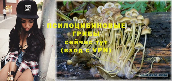 МДПВ Абдулино