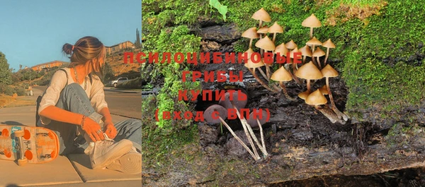 трава Абинск
